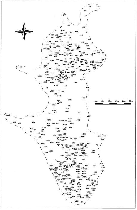 Planul necropolei neolitice de la Cernica